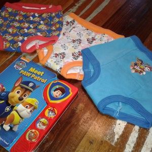 Paw Patrol Training Underwear
